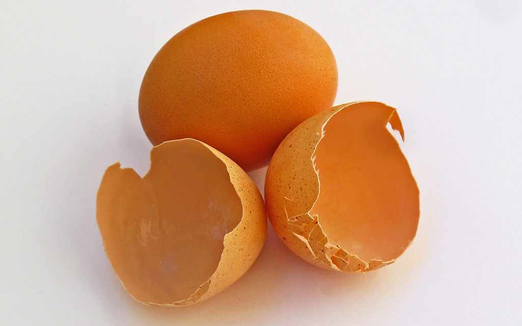 Állati jól néz ki a tojáshéjból készült ékszer