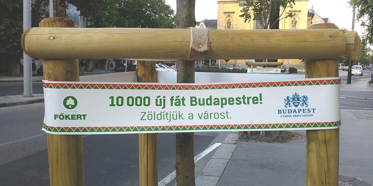Jó hírek: haladnak a budapesti faültetések is, nem csak a kivágások!