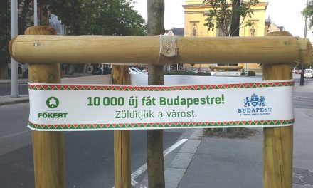 Jó hírek: haladnak a budapesti faültetések is, nem csak a kivágások!