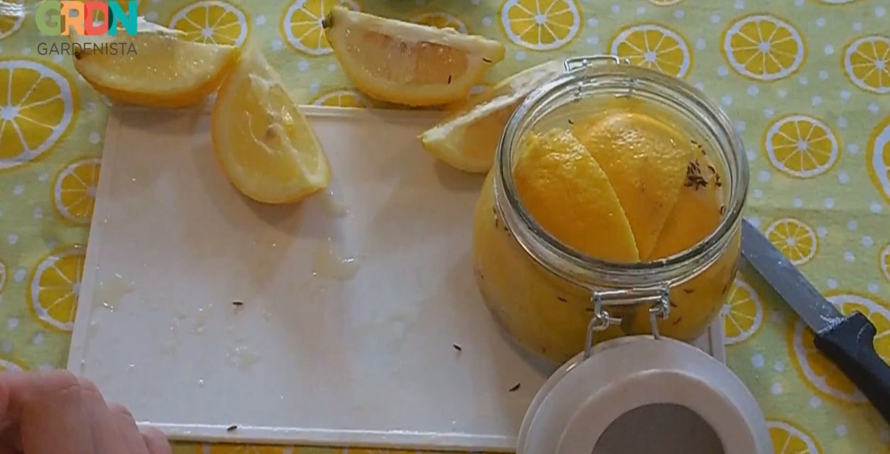 Így tedd el a citromot!