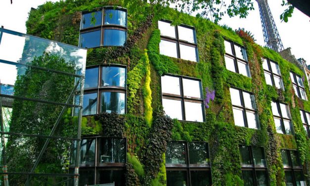 Vertikális kertészkedés, avagy a legzöldebb falak