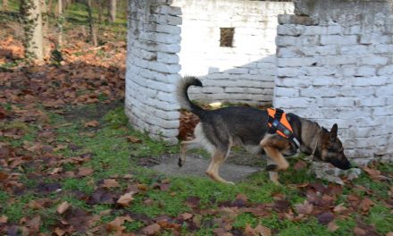 Két új kutya állt szolgálatba a madármérgezések visszaszorítására
