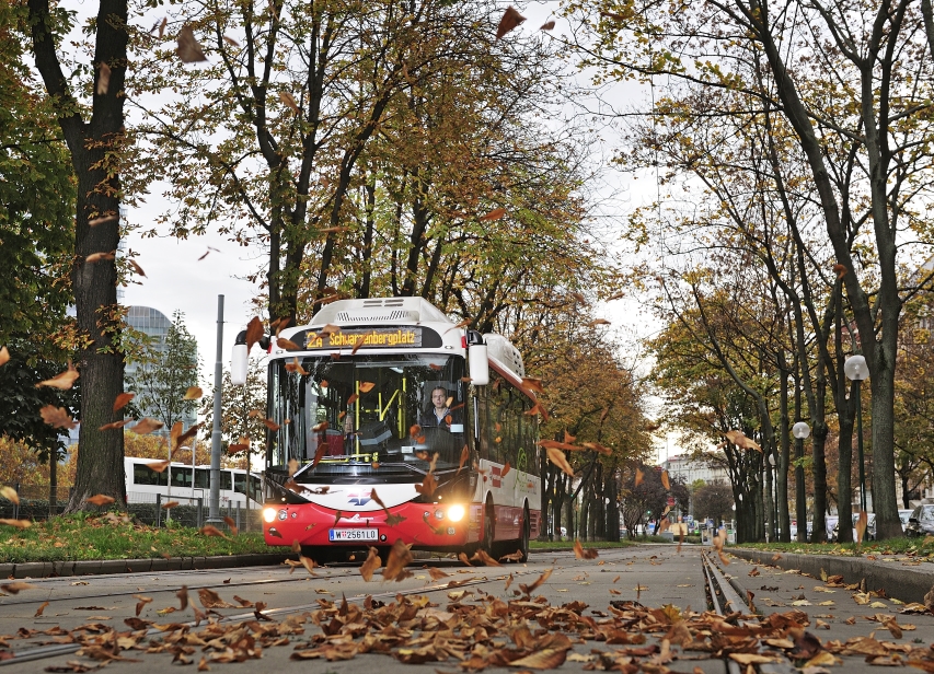 Bécs teljesen kiirtja a környezetszennyező buszokat