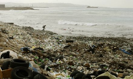2030-ra annyi hulladék lesz a tengerben, mint hal