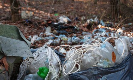 2030-ra kötelező lehet az újrahasznosítható műanyag-csomagolás