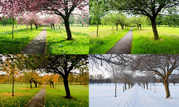 A évszakok csodás változásai hét képben