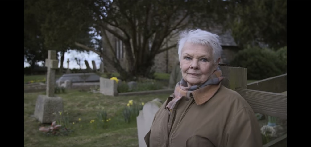 Filmet forgattak Judi Dench fák iránti rajongásáról