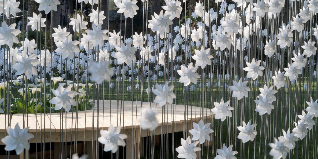 Az 1000 szélforgóból készült kert Olaszországban