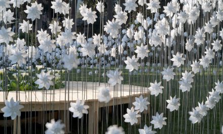 Az 1000 szélforgóból készült kert Olaszországban