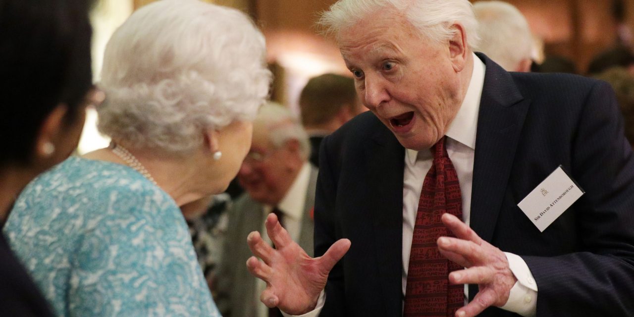 92 másodperces videóban 92 legszebb pillanatával köszöntötték a 92 éves Attenborough-t