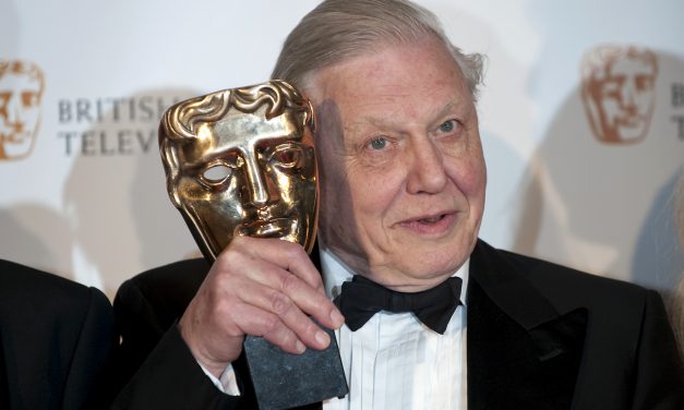 David Attenborough is nevezett a gödöllői Nemzetközi Természetfilm Fesztiválra