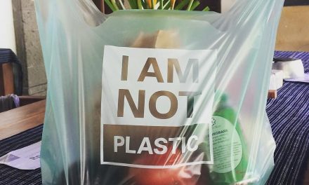 A 100 % növényi “műanyag” zacskó lehet a megoldás?