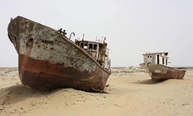 Életmentő erdőt telepítenének a kiszáradt Aral-tóba
