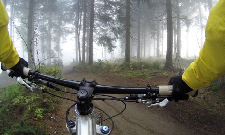 350 kilométeresre bővült a Pilis Bike erdei kerékpáros úthálózat