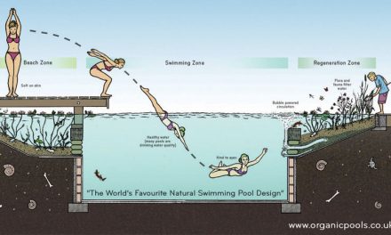 Hogyan készíthetünk saját kezűleg természetes úszómedencét?