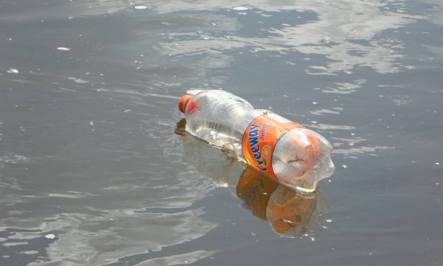 Brutális mennyiségű műanyagszeméttel van tele a Földközi-tenger