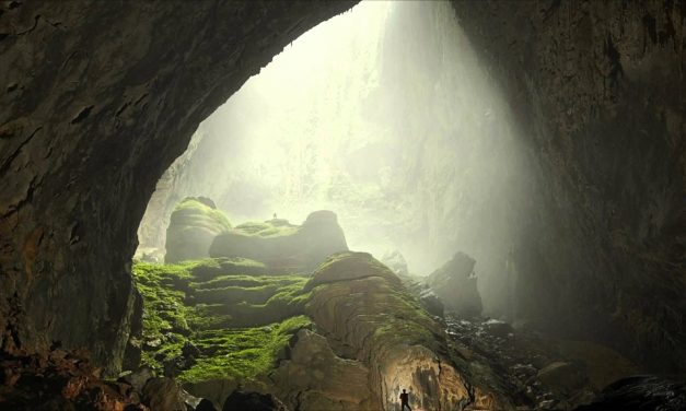 Saját dzsungelt is rejtett a világ legnagyobb barlangja