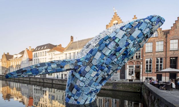 Öt tonnányi műanyag szemétből épült az óriási bálna