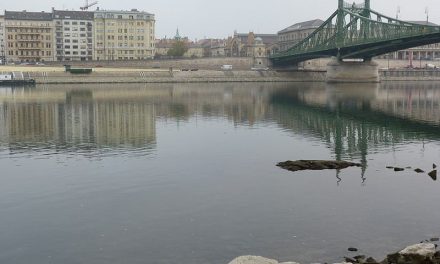 Olyan alacsony a Duna vízállása, hogy kilátszik az Ínség-szikla