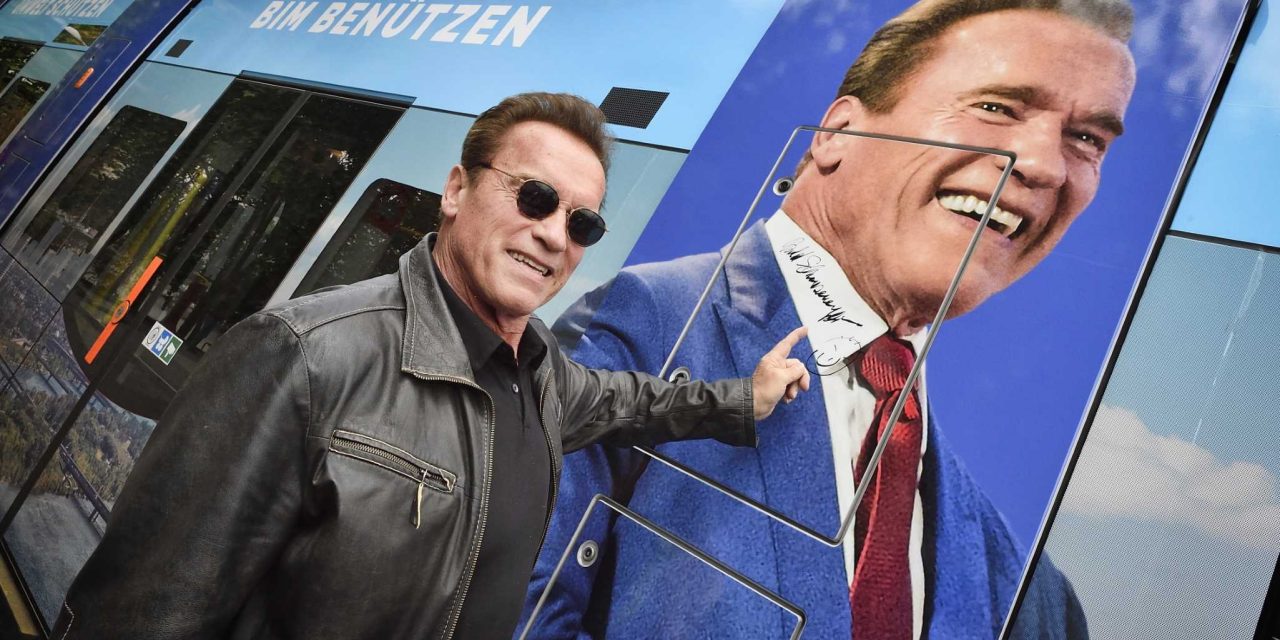 Mocsári teknősök védelmére fordítják Arnold Schwarzenegger bécsi szignóját