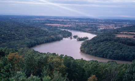Mára már a magyar folyók 90 százaléka eltűnt