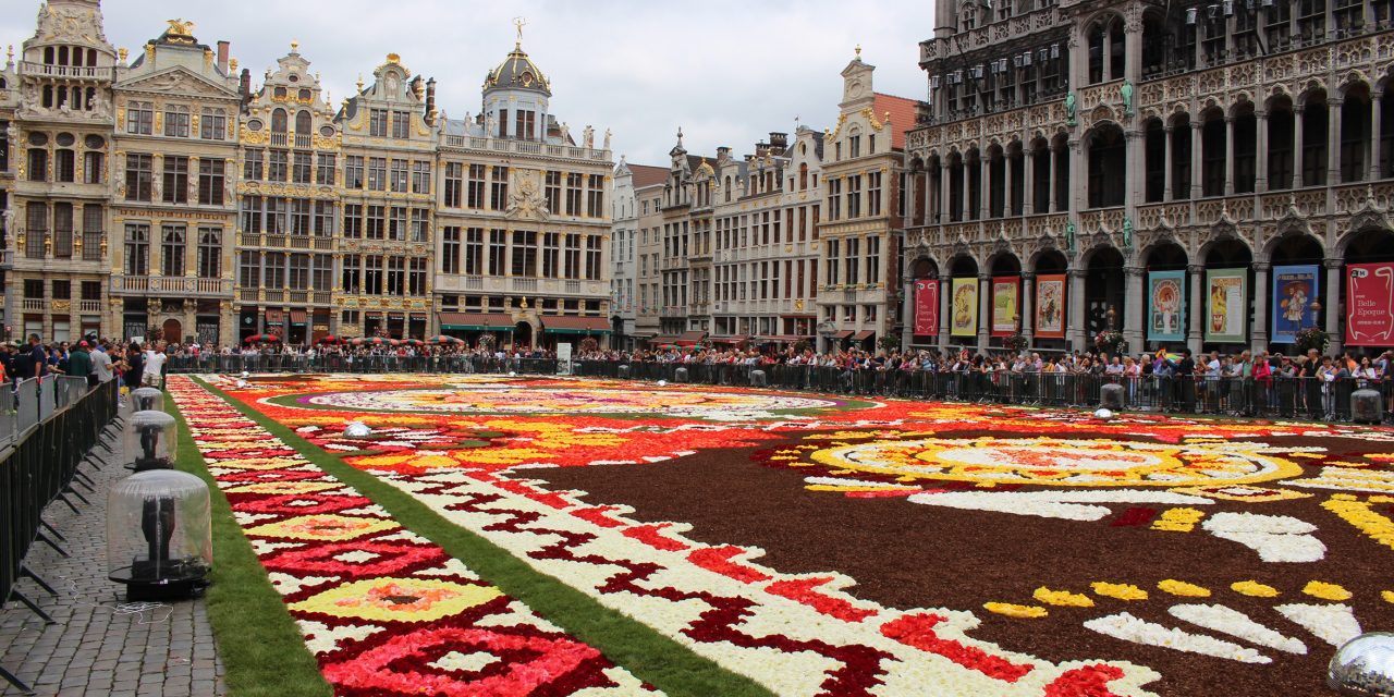 Ismét virágszőnyeget borítottak Brüsszel főterére