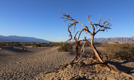 A kaliforniai Halál-völgyben a júliusi 42,28 fokos átlag-hőmérséklettel megdőlt a legforróbb hónap világrekordja