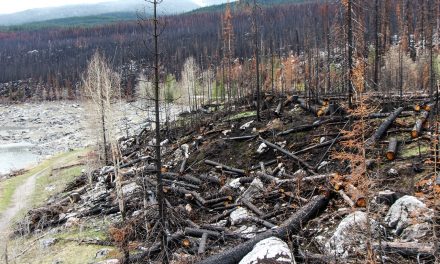 Erdőtüzek miatt romlott a levegő minősége Kanadában