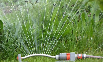 Víztakarékosságra kéri fogyasztóit az ivóvíz szolgáltató