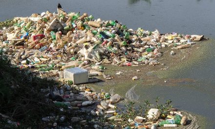 10 tonna műanyag hulladék gyűlt össze a Tiszából