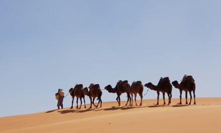 Megszüntetnék a sivatagi szárazságot a napelem- és szélfarmok
