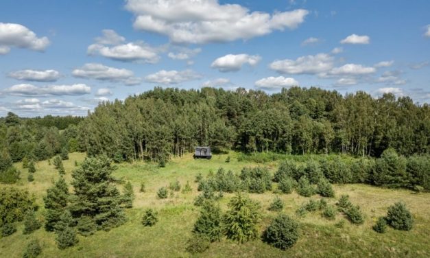 Titkos menedék egy litván erdőben