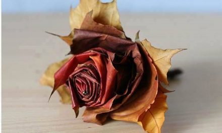 Készítsünk rózsát őszi falevélből