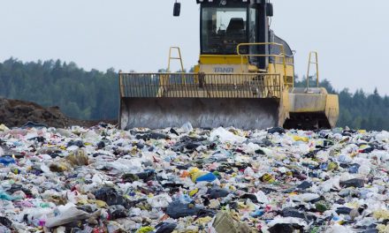 Miért nem fontos a fiataloknak a szelektív hulladékgyűjtés?