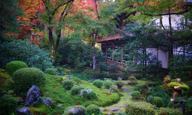 Egy fantasztikus templomkert Japánból
