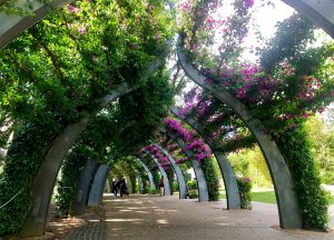A világ minden városába kellene egy ilyen park | Gardenista