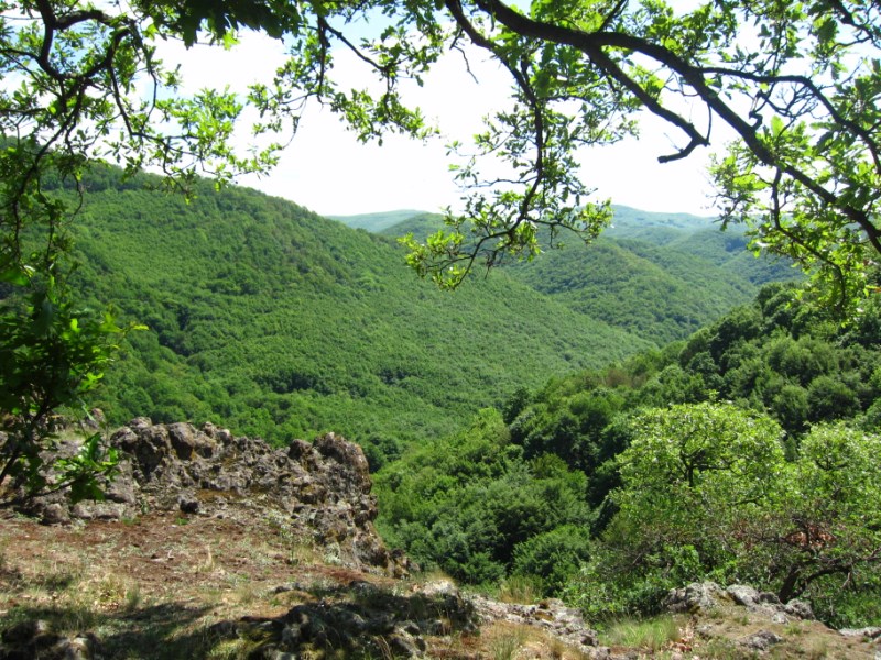 Petíciót indított a WWF Magyarország a Csarna-völgy megmentéséért