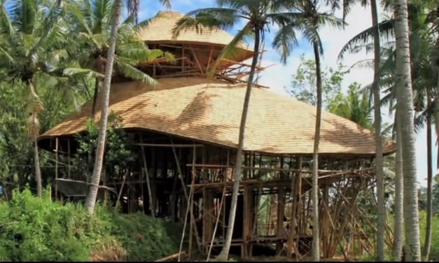 Félmilliós tanfolyam Balin a bambuszozásról, a hülyének is megéri!