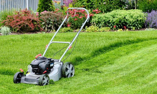 Fűnyírók kertméret szerint: melyik típus illik a telkedhez?