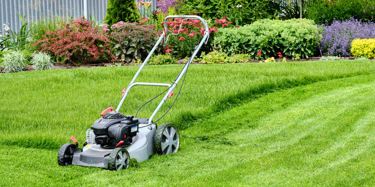 Fűnyírók kertméret szerint: melyik típus illik a telkedhez?